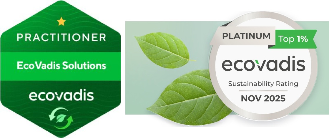 Logo EcoVadis